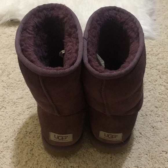 Purple Uggs! - Picture 1 of 3